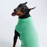 T-shirt pour chien avec écran solaire - Menthe