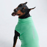 T-shirt pour chien avec écran solaire - Menthe