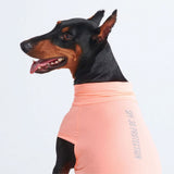 T-shirt pour chien avec écran solaire - Pêche