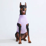 T-shirt pour chien avec écran solaire - Violet