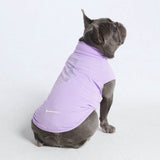 T-shirt pour chien avec écran solaire - Violet