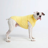 T-shirt pour chien avec écran solaire - Jaune