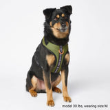 Harnais pour chien Yogawear - Vert