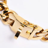Collier de chien en chaîne dorée