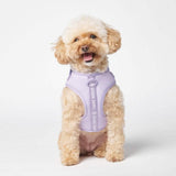 Harnais pour chien Yogawear - Lilas