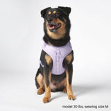 Harnais pour chien Yogawear - Lilas