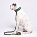 Ensemble de colliers tactiques pour chien - Vert armée