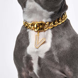 Lettre initiale bijoux plaques d'identification pour chiens - V