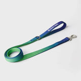 Ensemble de colliers tactiques pour chien - Vague de citron vert