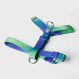 Harnais de contrôle de confort sans traction - Vague de citron vert