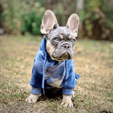Sweat à capuche en velours humain - Bleu Saphir