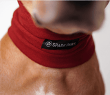 Protecteur d'oreilles anti-anxiété pour chien - Rouge