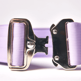 Collier tactique pour chien - Lilas