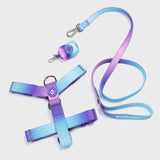 Ensemble de harnais de contrôle de confort sans traction - Rétro des années 90