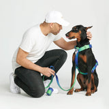 Harnais de contrôle de confort sans traction - Vague de citron vert