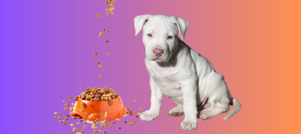 Best Food for Pitbull Puppy: Essential Nutrition Guide