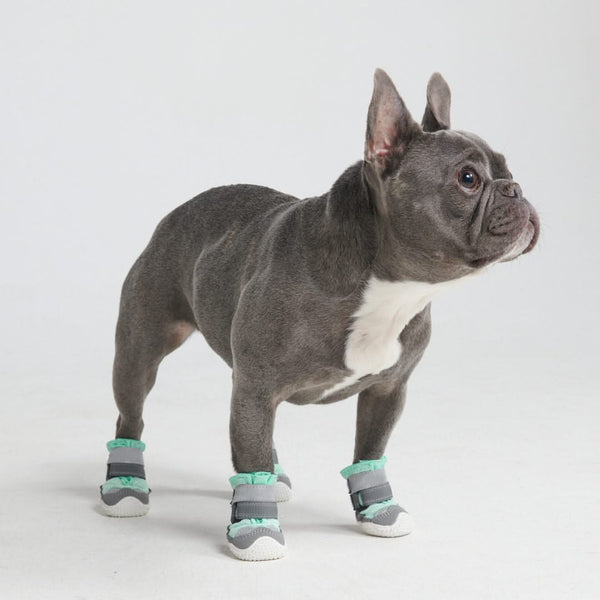 Chaussures pour chien sur pavé chaud - Sarcelle