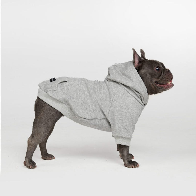 Pull à Capuche Essentiel Pour Chien - Gris Clair