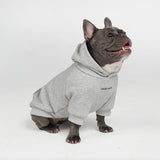 Pull à Capuche Essentiel Pour Chien - Gris Clair