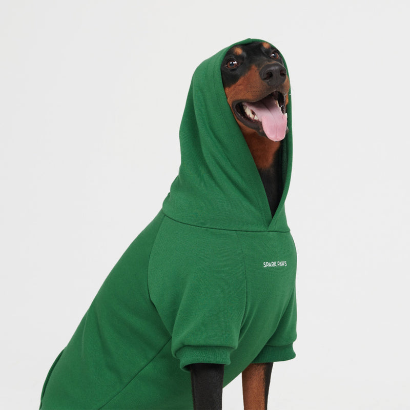 Essential Dog Hoodie - Cobalt Green