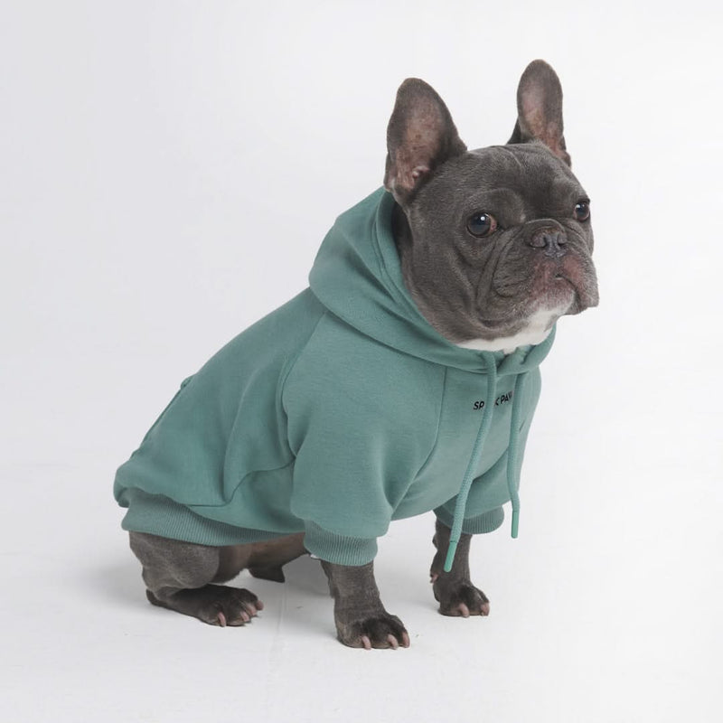 Sweat à capuche Essential Dog - Teal