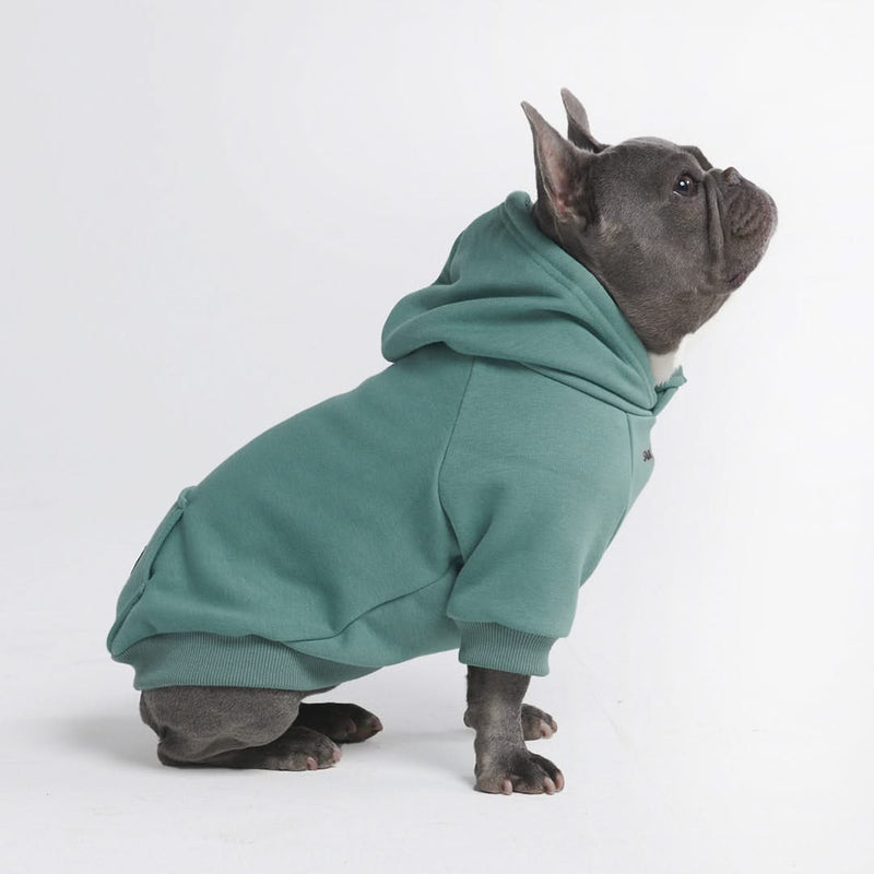 Sweat à capuche Essential Dog - Teal