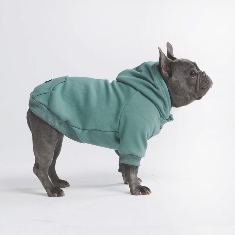 Pull à Capuche Essentiel Pour Chien - Sarcelle