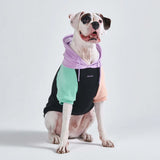 Pull à Capuche Pour Chien - Cyberpunk