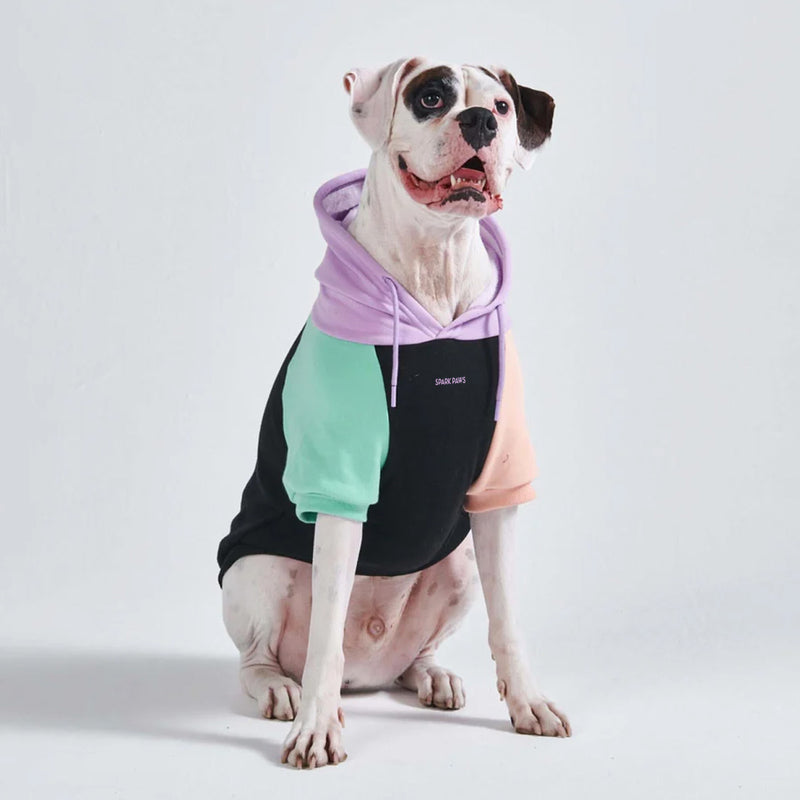 Pull à Capuche Pour Chien - Cyberpunk