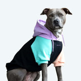 Pull à Capuche Pour Chien - Cyberpunk