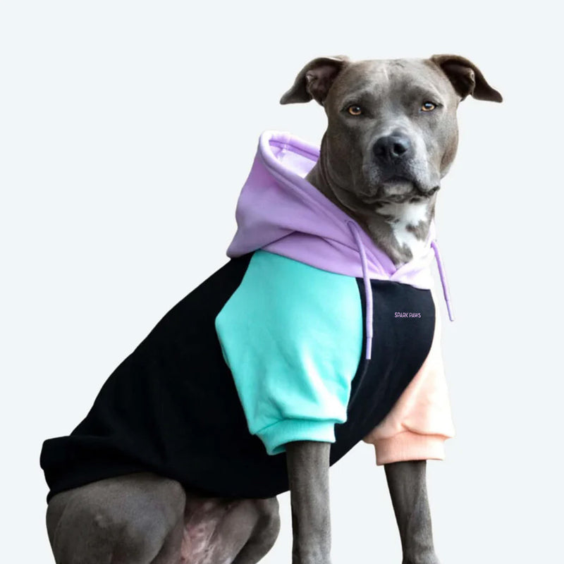 Pull à Capuche Pour Chien - Cyberpunk