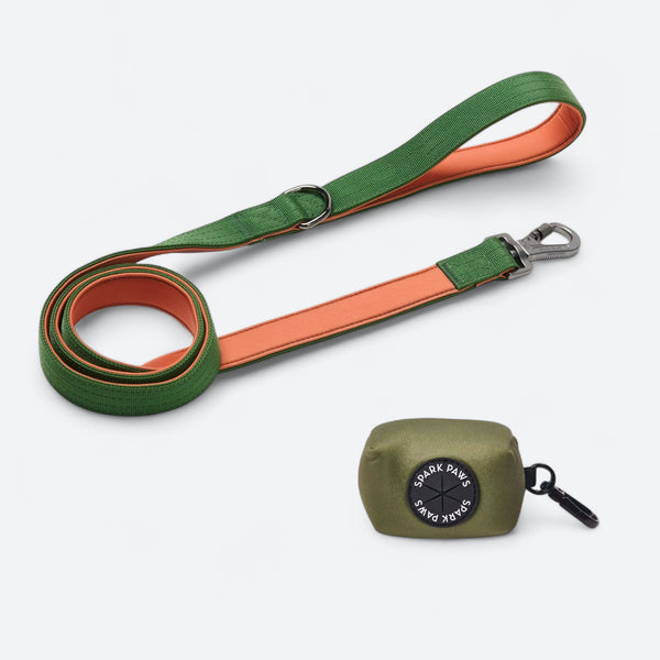 Ensemble laisse et distributeur de sacs à déjections - Vert Orange
