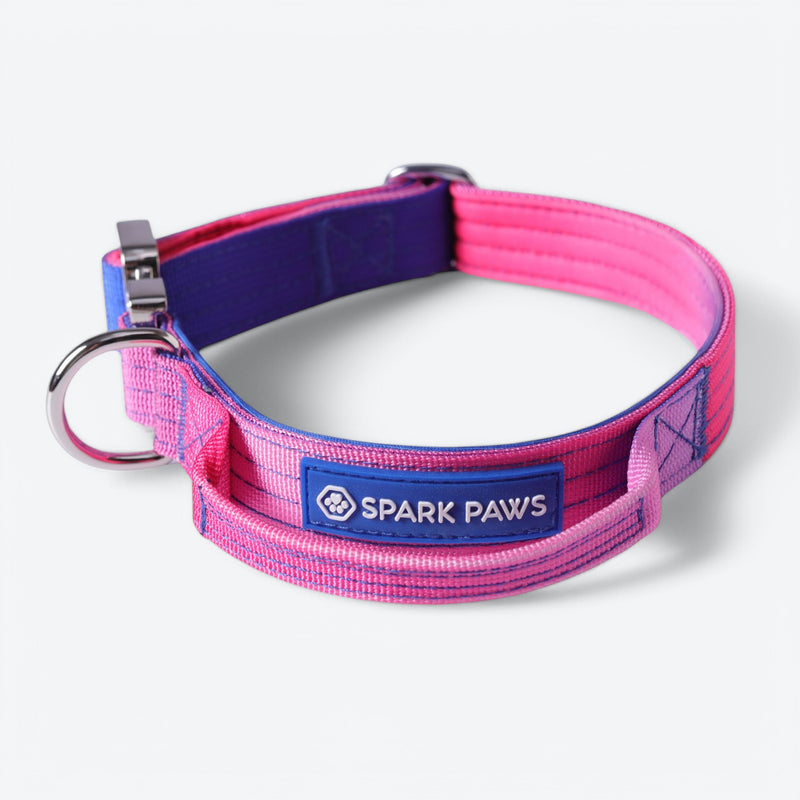 Collier tactique pour chien - Cône de neige