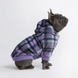 Plaid Dog Hoodie