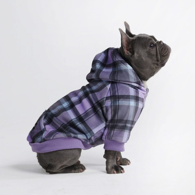 Plaid Dog Hoodie