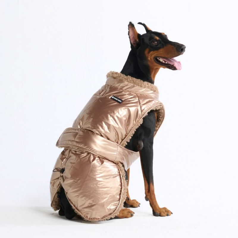 Veste d'hiver à enfiler - Or Métallique