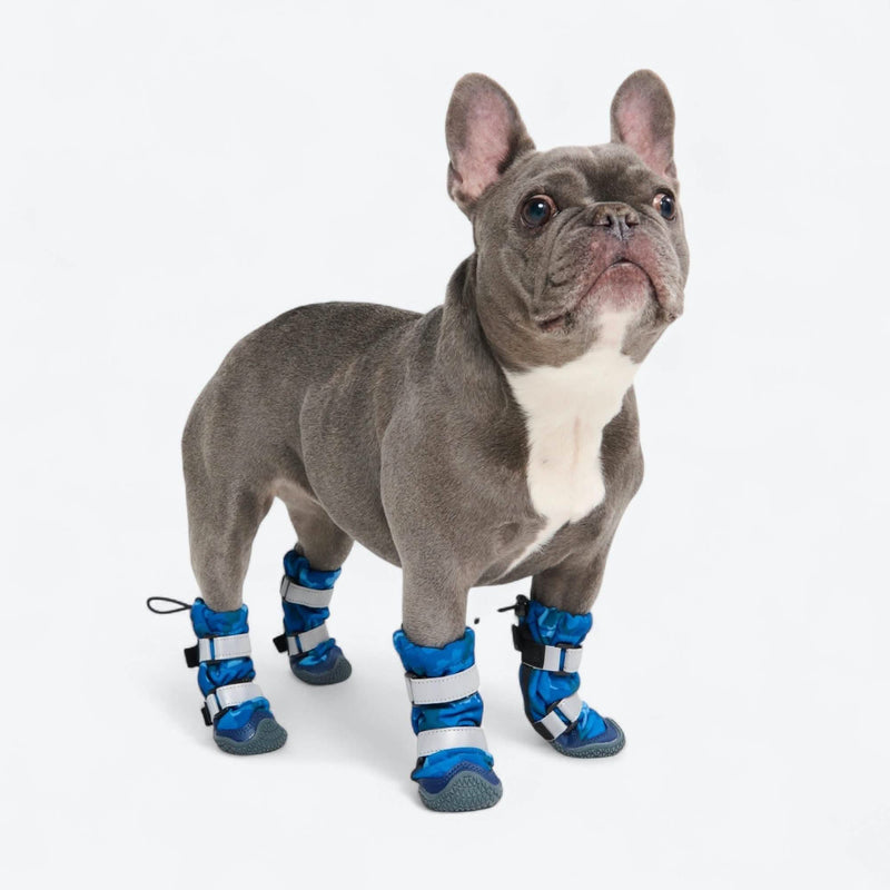 Bottes imperméables pour chien Flex Shell - Camouflage Bleu