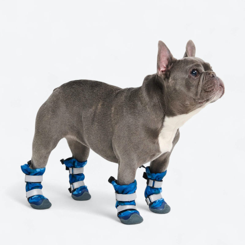 Bottes imperméables pour chien Flex Shell - Camouflage Bleu