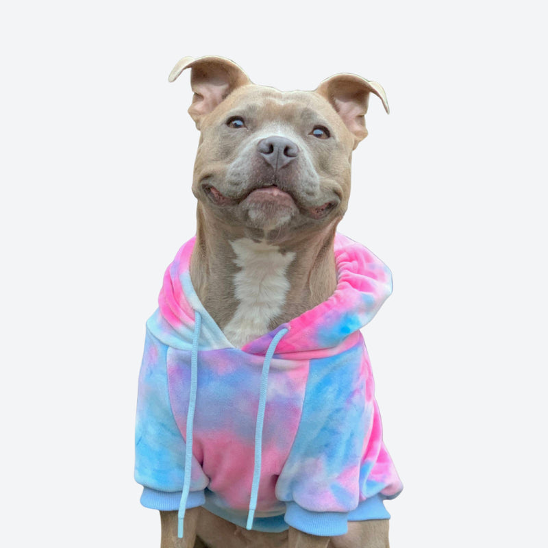 Pull à Capuche en velours Pour Chien - Rose et Bleu