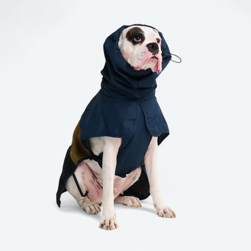 Imperméable pour chien Breatheshield™ - Bleu Or Noir