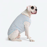 T-shirt rayé - Bleu Corail