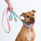 Pastel Icing Martingale Collar||size:C,D,E