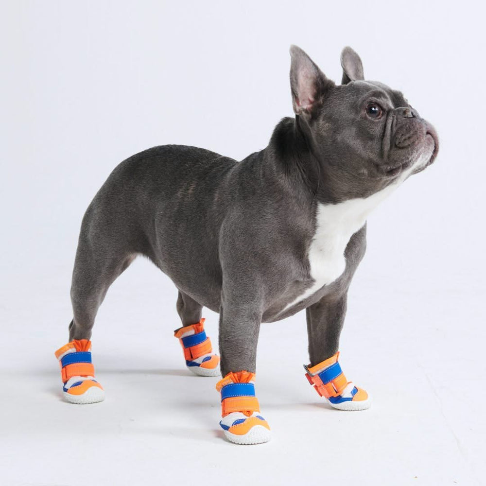 Chaussures pour chien sur pave chaud Orange Bleu