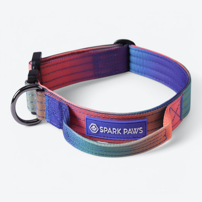 Collier tactique pour chien - Kaléidoscope
