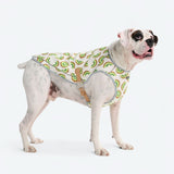 Gilet rafraîchissant pour chien - Kiwi