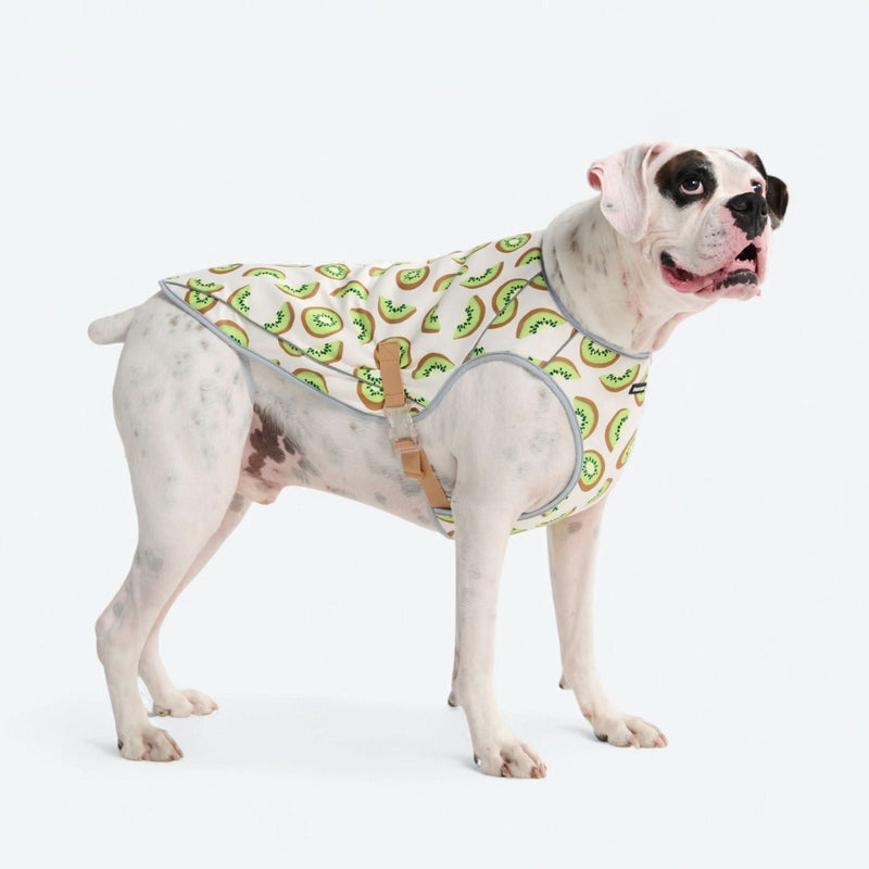 Gilet rafraîchissant pour chien - Kiwi