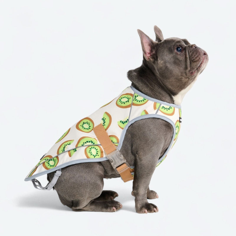Gilet rafraîchissant pour chien - Kiwi