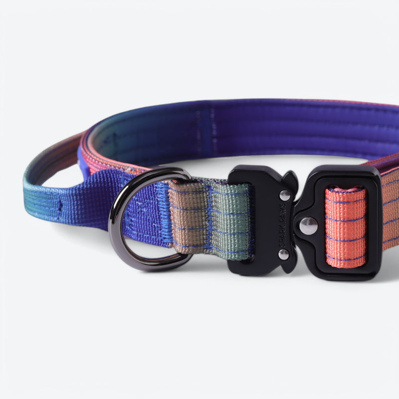 Collier tactique pour chien - Kaléidoscope