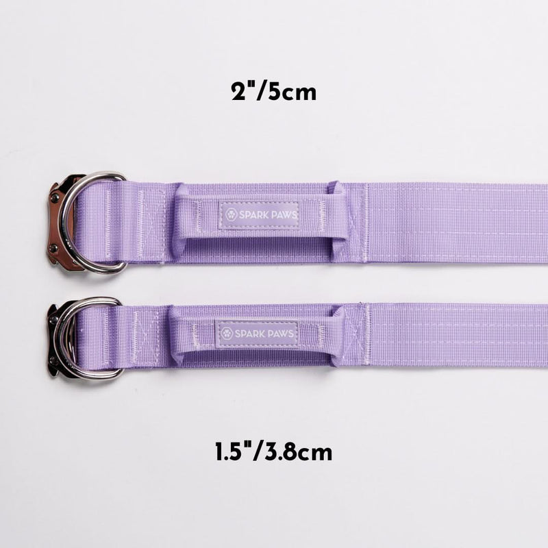 Ensemble de colliers tactiques pour chien - Lilas