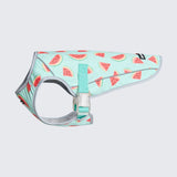 Gilet rafraîchissant pour chien - Pastèque